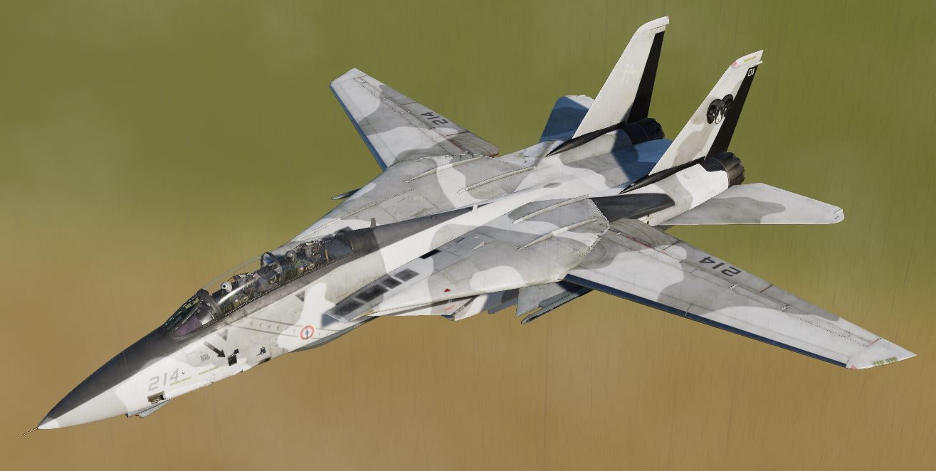 F14B TomCat - Reapers
